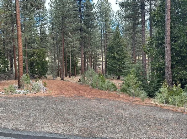 334 Big Grizzly, Portola, CA 96122