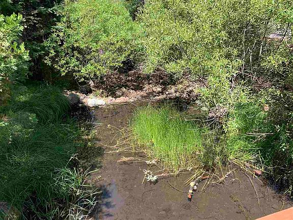 3rd image of 44345 Highway 36