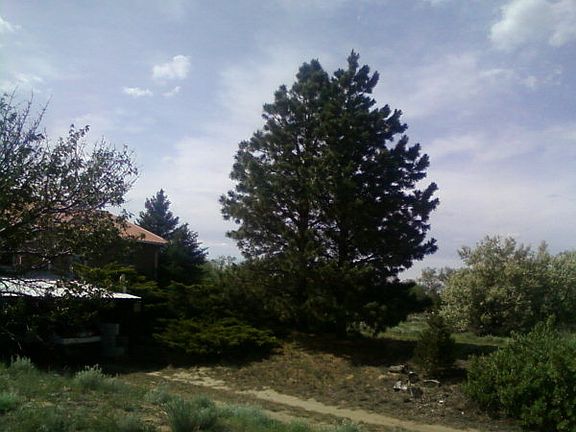 3rd image of 2610 State Highway 71
