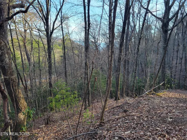 LOT 5 Swann Saddle Rd, Sevierville, TN 37876