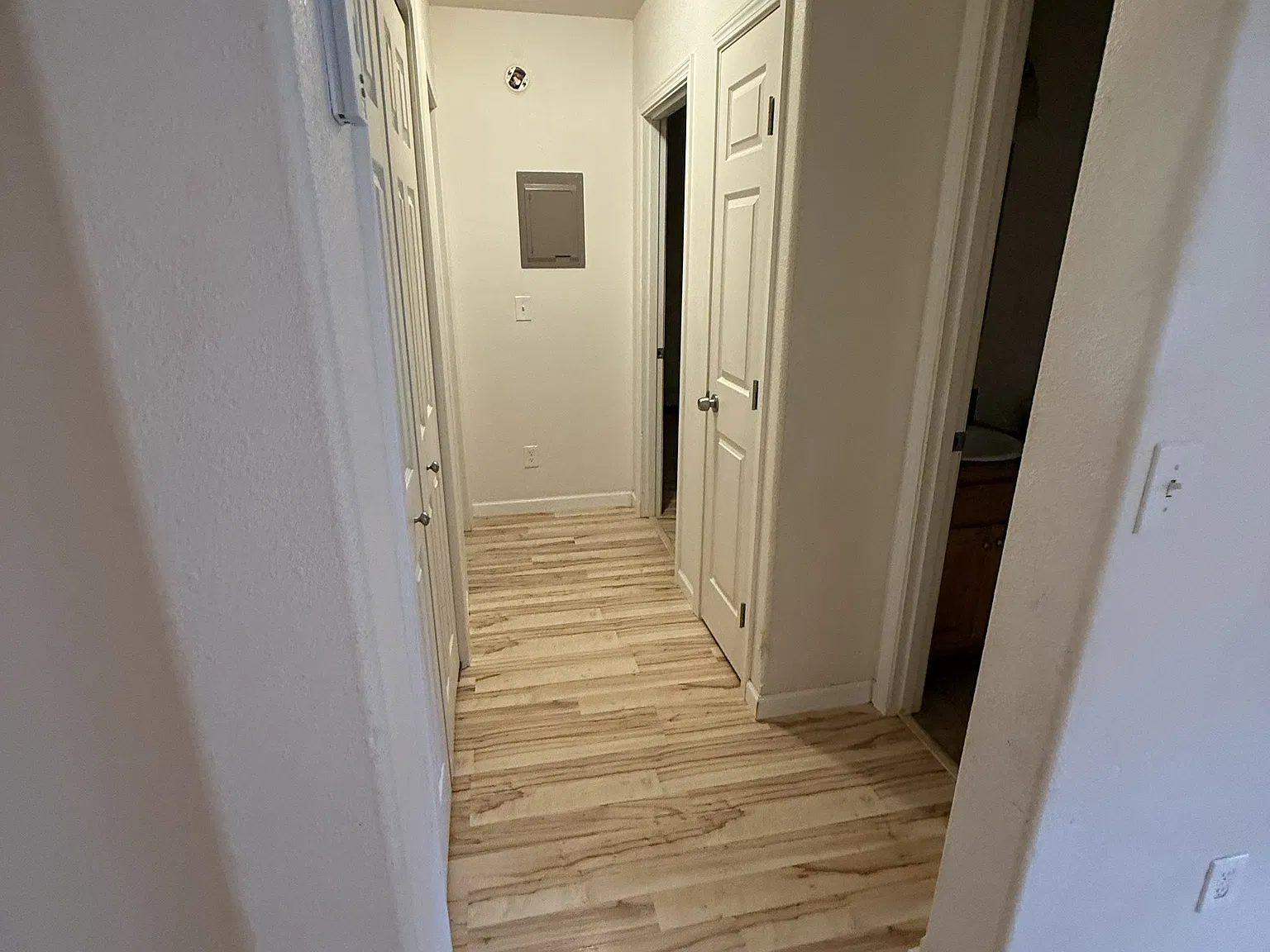 2 bed, 1000 sqft, $1,300 — Photo 3