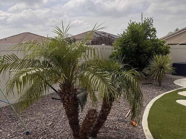 30527 Prairie Sun Way — Photo 5