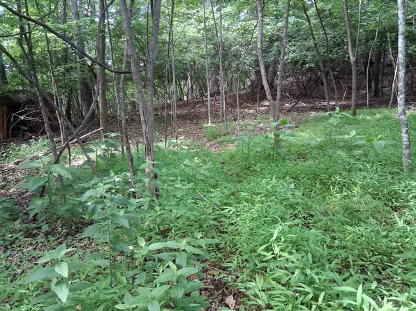 Frazier Rd, Radford, VA 24141