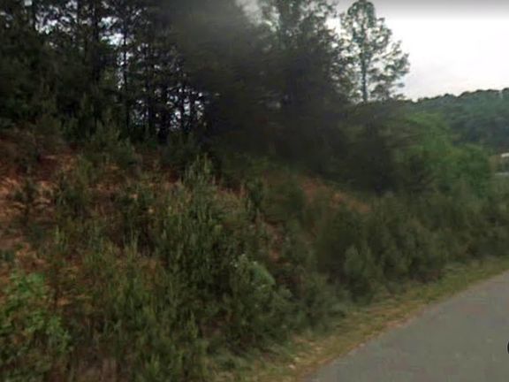 2nd image of 18 Lemon Creek Dr