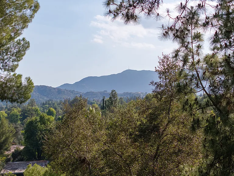 516 Venado Vista Dr — Photo 36