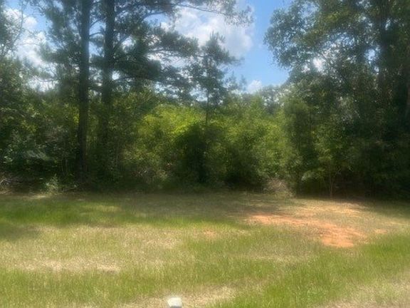 3rd image of 0 Sibley Rd