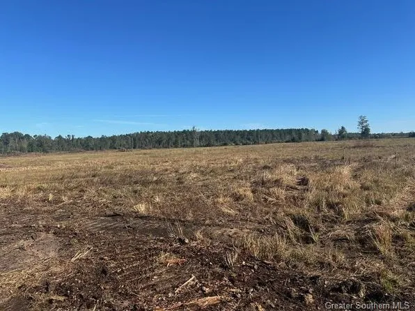 Conway Rosteet Rd, Longville, LA 70652