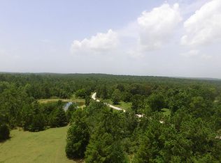 353 Molt Ln, Pointblank, TX 77364