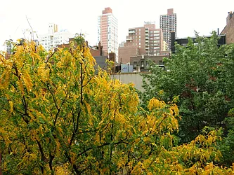 Rented by City & Suburban