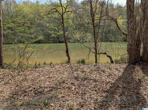 LOT 1 River Crest Dr #A, Cordova, AL 35550