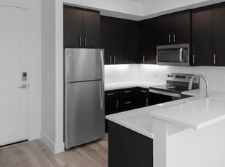 100 Clement St #100-203, Basalt, CO 81621