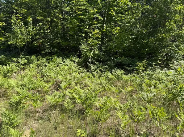 LOT 64 Northover Circle Rd, Mancelona, MI 49659
