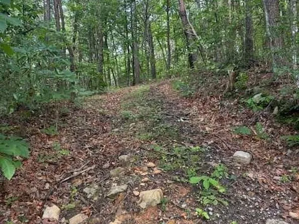 Paramount Pl, Ellijay, GA 30536