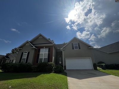 206 Elm Creek Ct, Chapin, SC, 29036