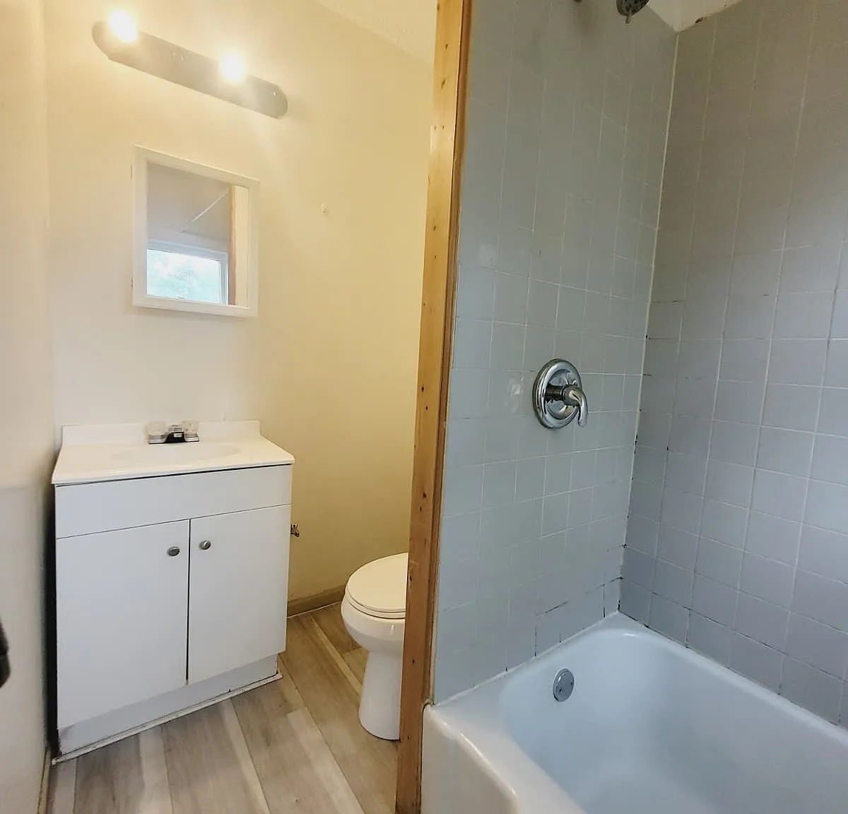 1 bed, $800 — Photo 4