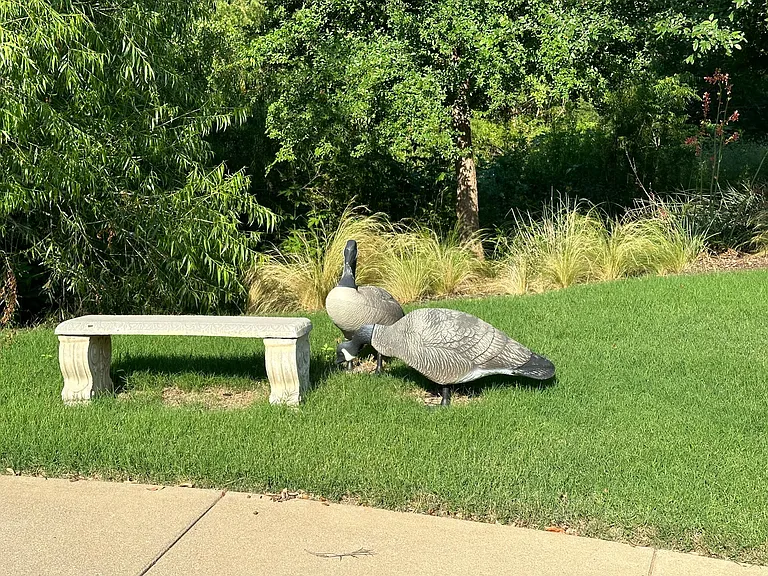 1865 Wood Duck Ln — Photo 30
