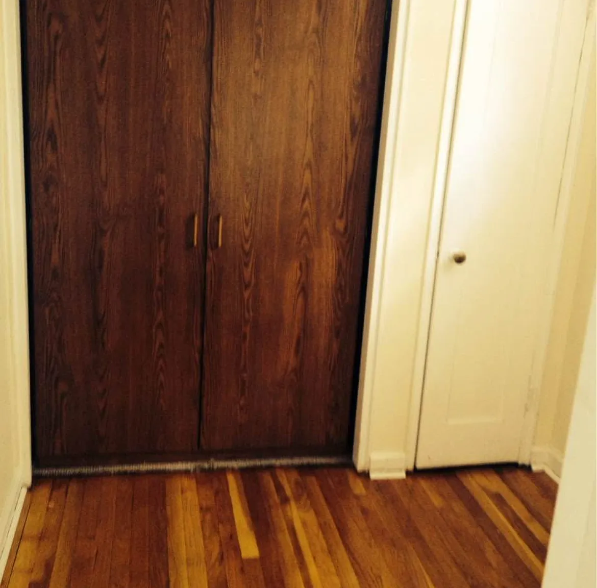 Studio, $1,550 — Photo 3