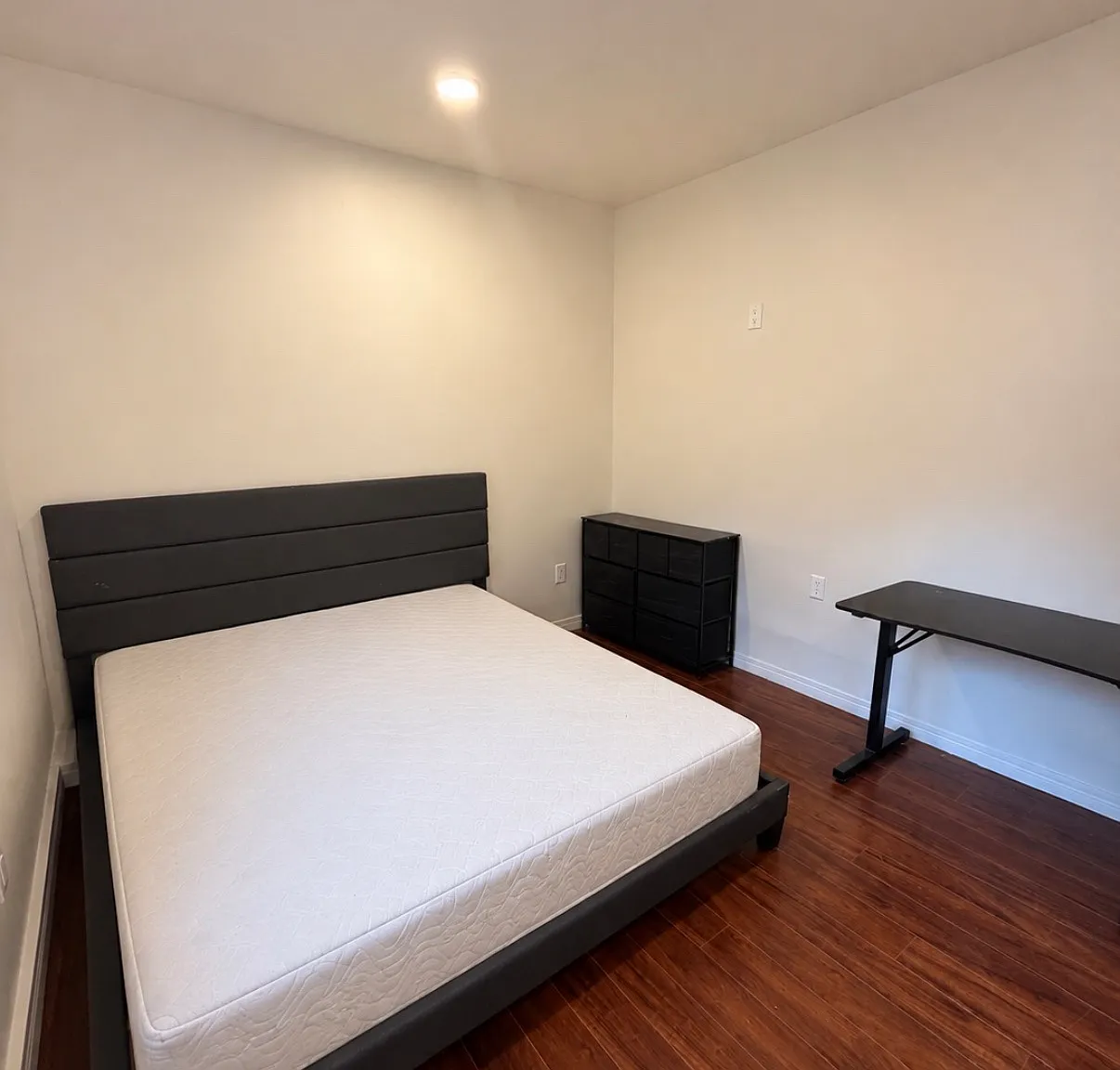 1 bed, 503 sqft, $1,750 — Photo 1