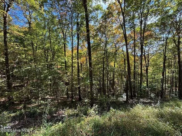 2 Holly Ridge Drive, Topton, NC 28781