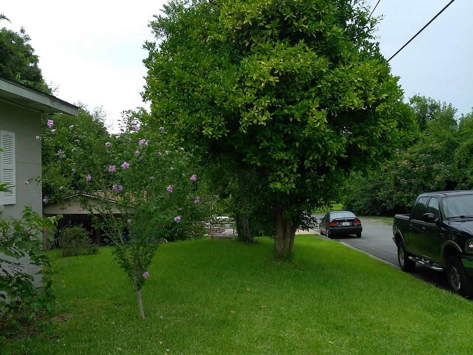 2nd image of 1001 Taylor St #B