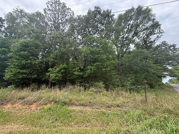 3rd image of 0 Otho Davis Rd