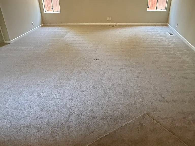 Newly painted and carpeted living room