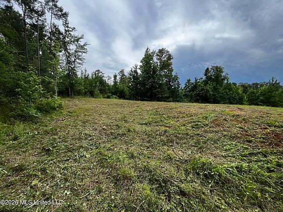 4th image of Cline Rd Lot 3