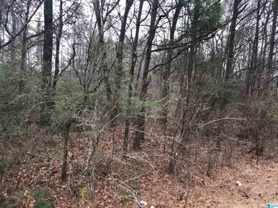 0 Renfroe Rd #0, Alpine, AL, 35014