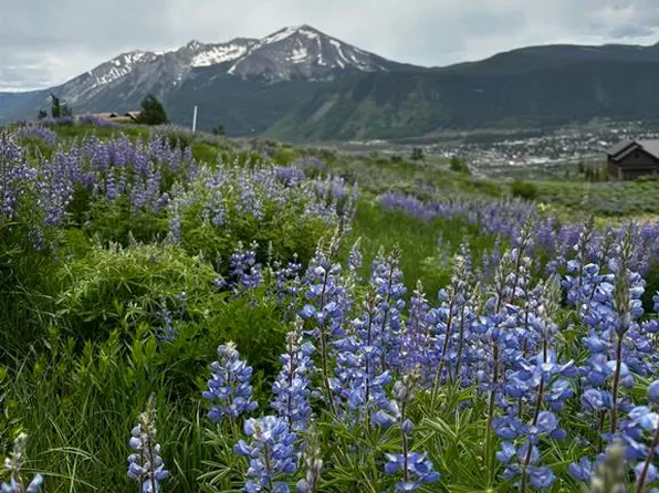 57 Summit Road, Mt. Crested Butte, CO 81225