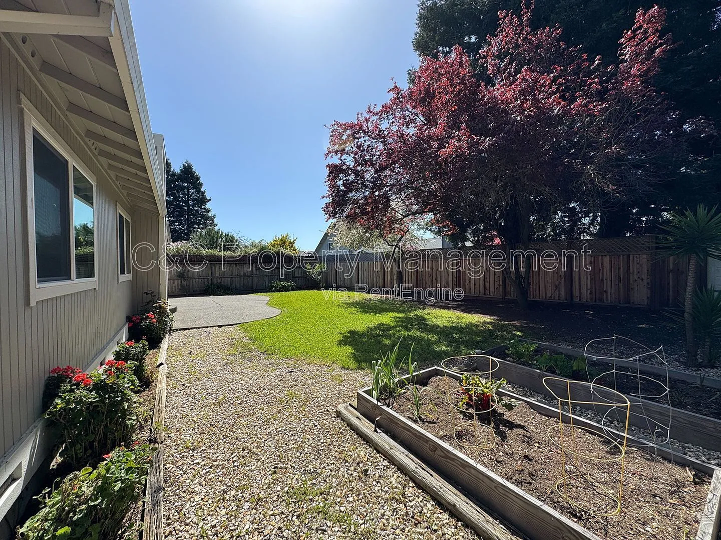 3 bed, 2.0 bath, 1409 sqft, $3,600 — Photo 4
