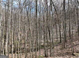 64 Saint Andrews Way, Ellijay, GA 30536