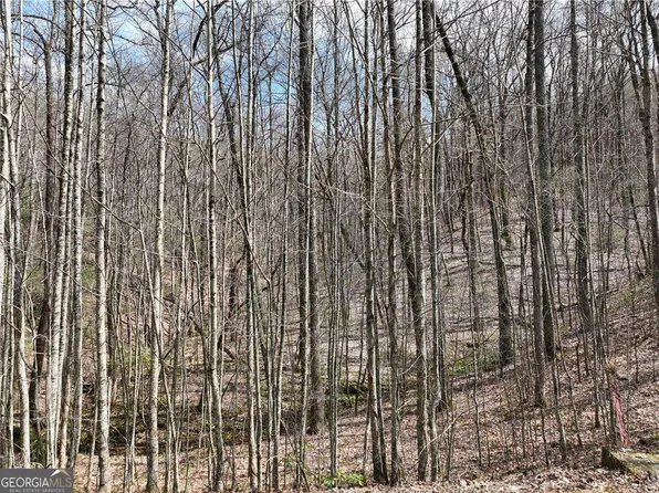 64 Saint Andrews Way, Ellijay, GA 30536