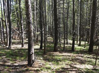 0 Upper Forest Rd, Idaho Springs, CO 80452