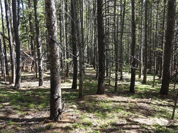 00 Upper Forest Rd, Idaho Springs, CO 80452