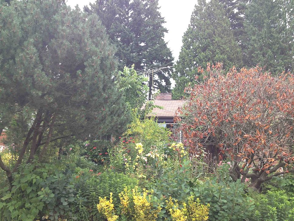 1st image of 10728 19th Ave NE