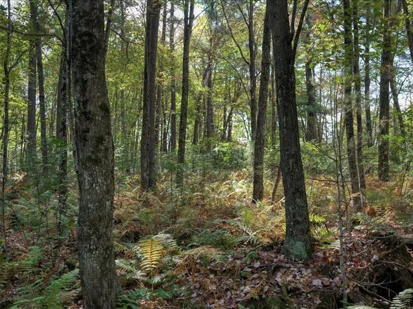 000 US Highway 12, Tomah, WI 54660