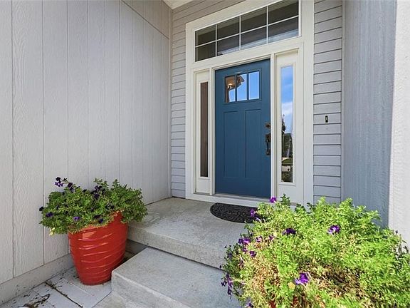 Panel siding exterior, concrete steps, transom window, sidelight windows, and a blue front door with divided lites