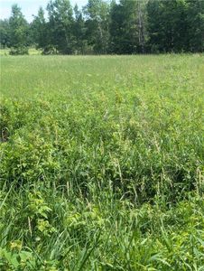 Lot 3 CSM # 2158 165th Avenue, Stanley, WI, 54768