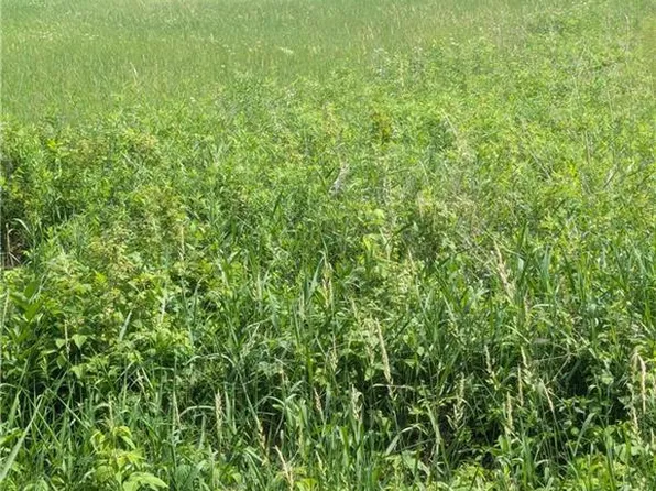 Lot 3 CSM # 2158 165th Avenue, Stanley, WI 54768