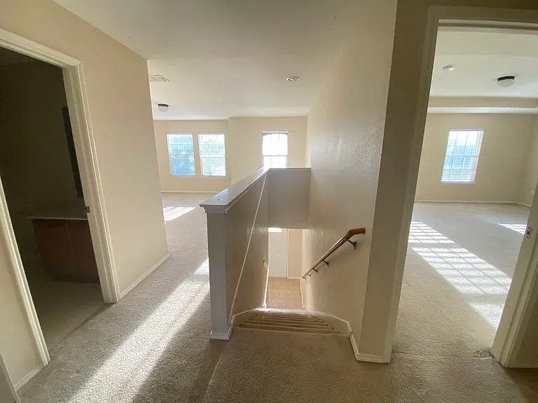 12612 Pricklybranch Dr — Photo 13