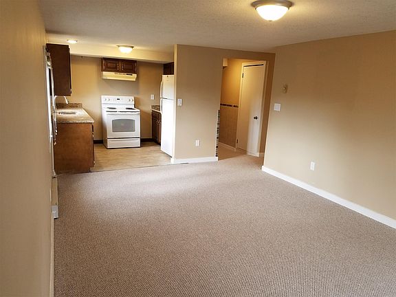 Spacious living room & kitchen