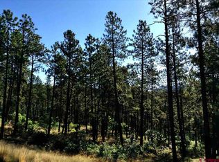 588 Monarch Crest Trl, Durango, CO 81301