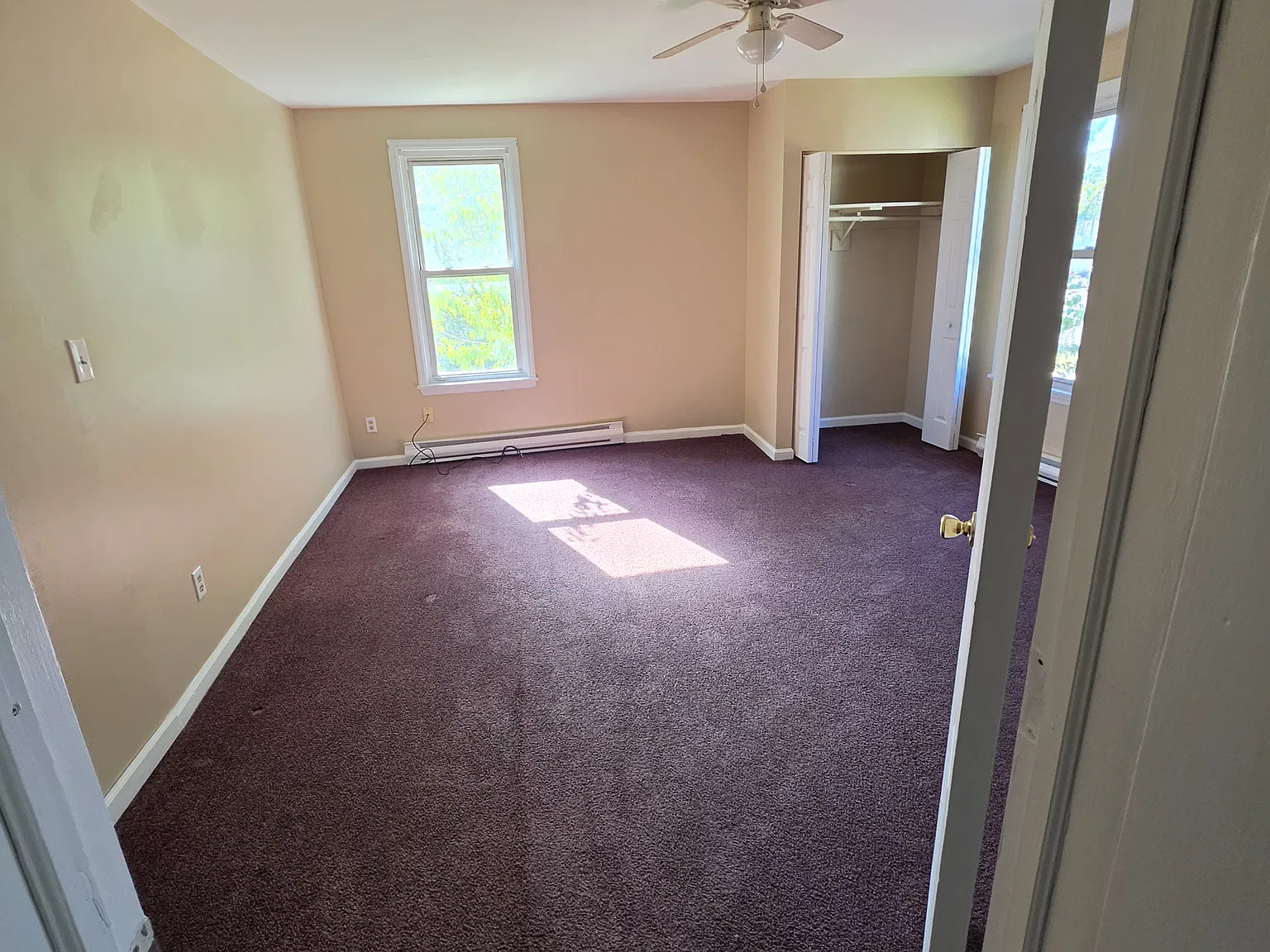 1 bed, $900 — Photo 4