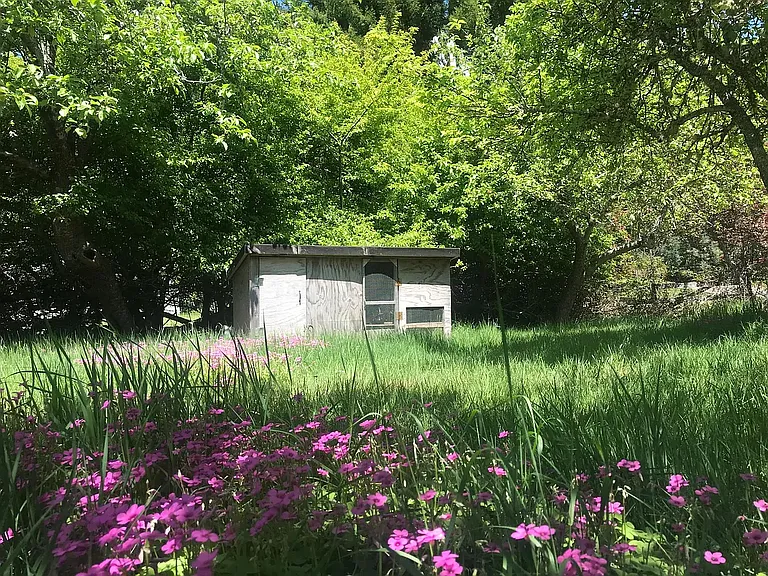 41499 Iversen Rd — Photo 5