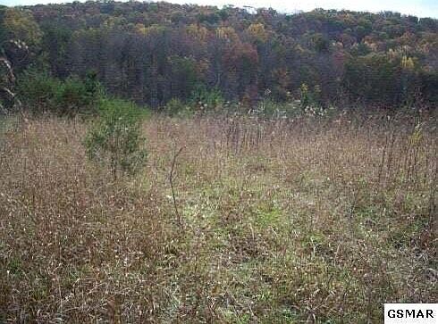 2nd image of LOT 13 McGaha Chapel Rd