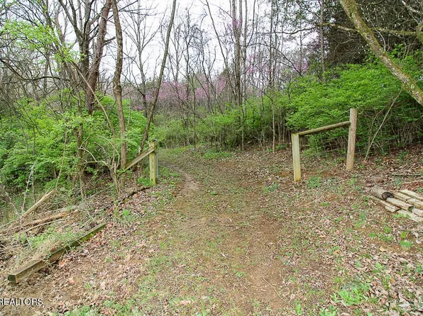 5 Cedar School Rd, Dandridge, TN 37725
