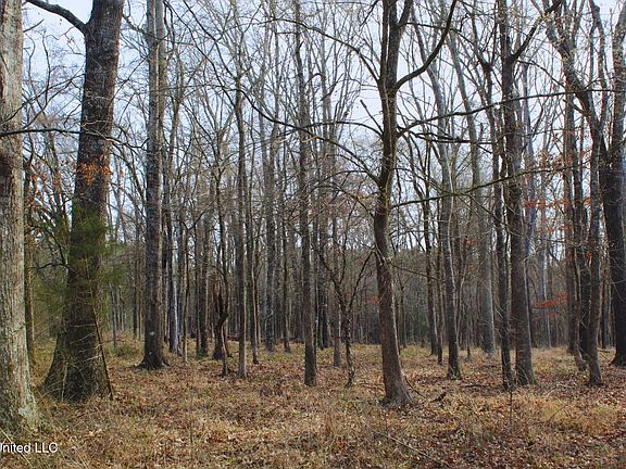 3rd image of 2046 Mitchell Rd