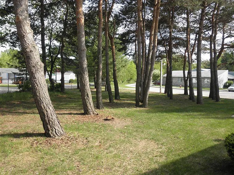 Windmere Pines Apartments — Photo 11