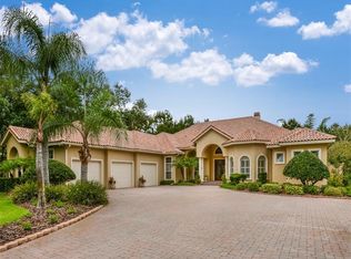 17108 Journeys End Dr, Odessa, FL 33556