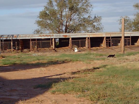 3rd image of 2311 N Us Highway 385